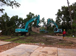 Cutting of Trees and Site Clearance